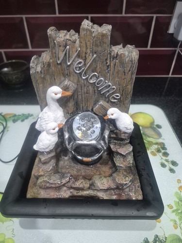 Duck family welcome indoor - duck,