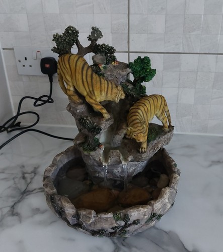 Tiger indoor water - tiger,